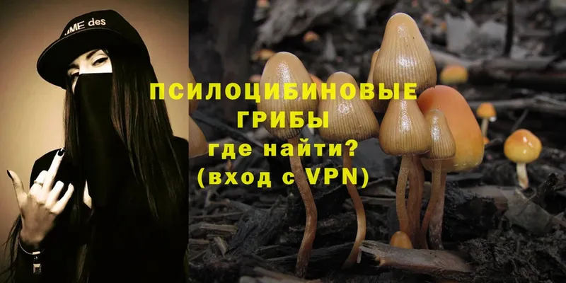 Псилоцибиновые грибы Magic Shrooms  Лесосибирск 